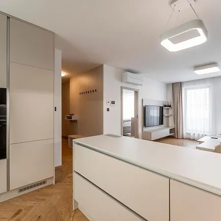 Timonova St Elisabeth *